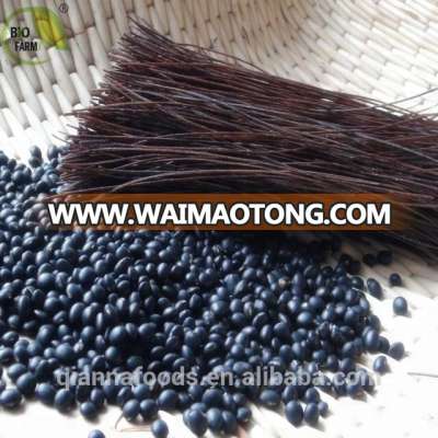 Chinese supplier of low carbohydrate high protein dried black bean noodles